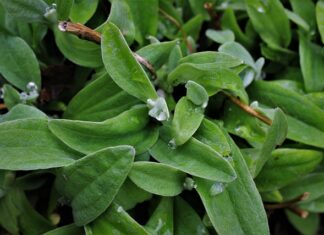 Jak pogodzić życie zawodowe z rodzinnym? Jak pogodzić życie zawodowe z rodzinnym?