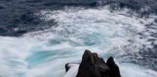 Ile spadnie cena iPhone 13 po premierze 14?