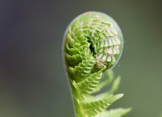 Dlaczego warto rozwijać swoje talenty?