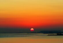 Jakie umiejętności warto wpisać w CV? Jakie umiejętności warto wpisać w CV?