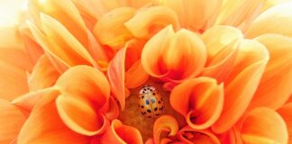 Co to znaczy uczyć się efektywnie?