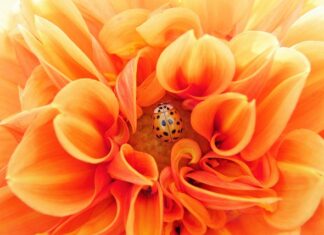 Co to znaczy uczyć się efektywnie? Co to znaczy uczyć się efektywnie?