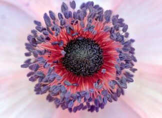 Jak zatwierdzić autorski program nauczania?