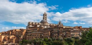 Jakie są możliwości rozwoju zawodowego awansu?