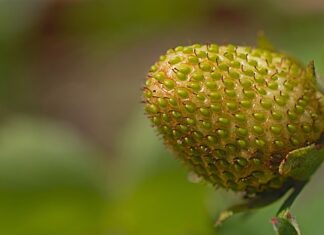 Kiedy osiąga się dojrzałość emocjonalną? Kiedy osiąga się dojrzałość emocjonalną?