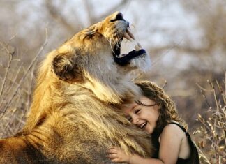 Jak radzić sobie z emocjami przedszkole? Jak radzić sobie z emocjami przedszkole?