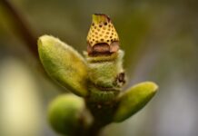 Co daje nam rozwijanie swoich zainteresowań? Co daje nam rozwijanie swoich zainteresowań?