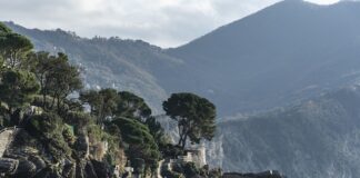 Ile kosztuje wyprowadzką do innego kraju?