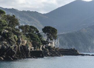 Ile kosztuje certyfikat psychoterapeuty? Ile kosztuje certyfikat psychoterapeuty?