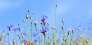 Co to jest wieloletnia prognoza finansowa? Co to jest wieloletnia prognoza finansowa?