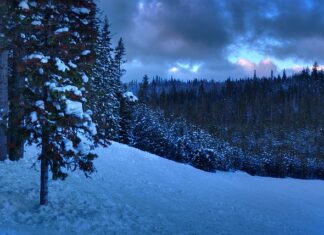 Czy po licencjacie z pedagogiki można iść na psychologię? Czy po licencjacie z pedagogiki można iść na psychologię?