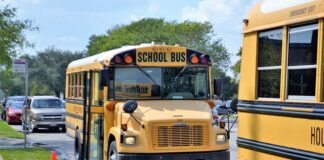 Czy pedagog specjalny może prowadzić zajęcia logopedyczne?