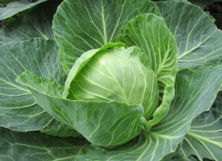 Jakie są powody sporządzania budżetów? Jakie są powody sporządzania budżetów?