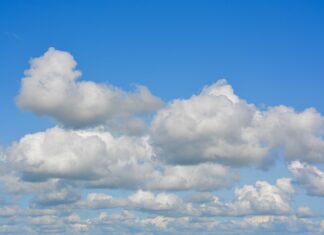 W jakim terminie należy powiadomić pracodawcę o przejściu na emeryturę? W jakim terminie należy powiadomić pracodawcę o przejściu na emeryturę?